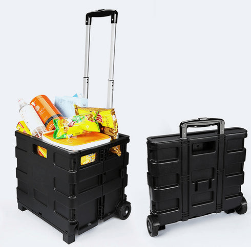 Car Trunk Organizer